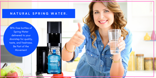 Sustainability and Waddi Springs: Making a Difference with Our Reduce, Reuse, Refill Program