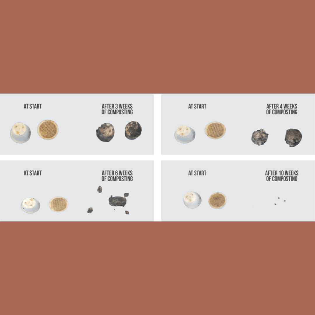 PLANT BASED NESPRESSO CAPSULES PODS - GIRRA GIRRA BLEND.