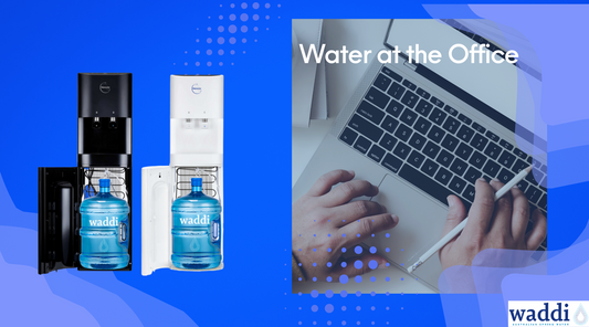 Enhance Your Office Refreshment Experience with Waddi Springs