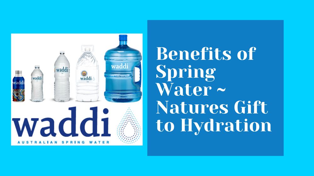 News Blog Section – Waddi Springs – Page 3 – Waddi Springs