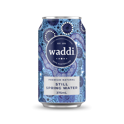 Premium Still Spring Water Can - 375ml - 10pk Cans.