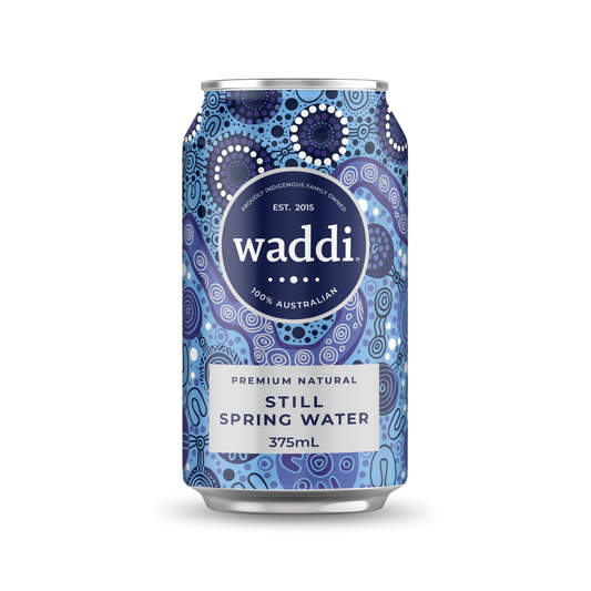 Premium Still Spring Water Can - 375ml - 10pk Cans.