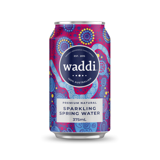 Premium Natural Sparkling Spring Water Can - 375ml - 10pk Cans