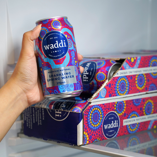 Premium Natural Sparkling Spring Water Can - 375ml - 10pk Cans